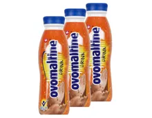 Ovo Drink UHT 3x 500ml