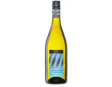 Paddle Creek Sauvignon Blanc Marlborough New Zealand (2025) – Weisswein, Neuseeland (0.75l)