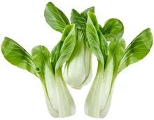 Pak Choi
