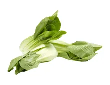 Pak Choi