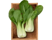 Pak Choi