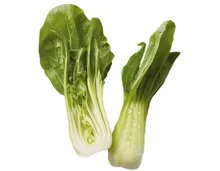 Pak-Choi