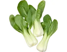 Pak Choi