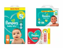 Pampers Baby Dry Windeln/Pants