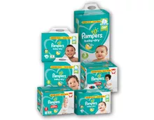 PAMPERS® Baby Dry Maxi Pack