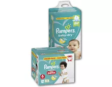 PAMPERS® Windeln und Pants Maxi Pack