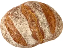 Pane Maggia