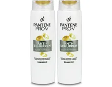 Pantene Pro-V Haarshampoo Anti-Schuppen 2x 300ml
