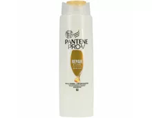 Pantene PRO-V Haarshampoo Repair&Care