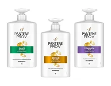 Pantene Pro-V Shampoo