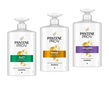 Pantene Pro-V Shampoo