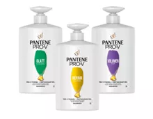 PANTENE PRO-V Shampoo