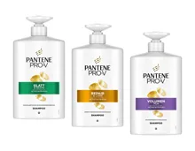 Pantene Pro-V Shampoo XXL