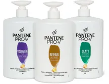 Pantene Pro-V Shampoos