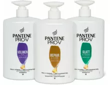 Pantene Pro-V Shampoos