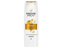 Pantene Shampoo