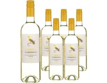 Pays d'Oc IGP Chardonnay Oriol 6x 75cl (2024) – Weisswein, Frankreich (0.75l)