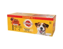 Pedigree Pouch in Gelée 40 x 100 g