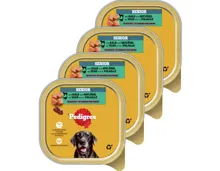 Pedigree Senior Hundefutter Kalb & Geflügel 4x 300g