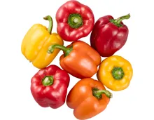 Peperoni gemischt