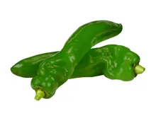 Peperoni grün spitz scharf