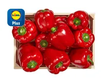 Peperoni rot