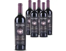 Piemont Barbera Appassimento Ricossa 6x 75cl (2022) – Rotwein, Italien (0.75l)