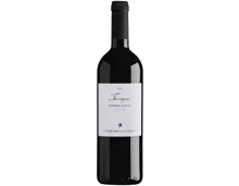 Piemonte DOC Barbera d'Alba Trevigne Domenico Cler (2023) – Rotwein, Italien (0.75l)