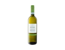 Pinot Grigio delle Venezie DOC 2021