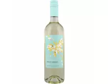 Pinot Grigio DOC Fior di Papione