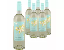 Pinot Grigio DOC Fior di Papione 6x 75cl