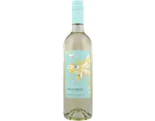Pinot Grigio DOC Fior di Papione