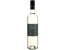 Pinot Grigio Tüzkö Ungarn (2023) – Weisswein, Ungarn (0.75l)