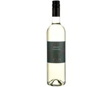 Pinot Grigio Tüzkö Ungarn (2024) – Weisswein, Ungarn (0.75l)