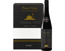 Pinot Noir de Salquenen AOC Valais