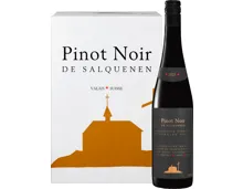Pinot Noir de Salquenen AOC Valais