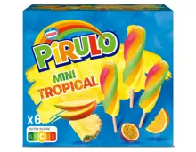 Pirulo Glace Tropical Mini 6x50ml