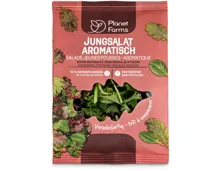 Planet Farms Jungsalat aromatisch
