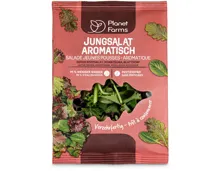 Planet Farms Jungsalat aromatisch