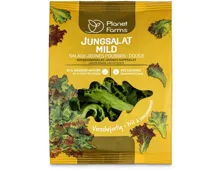Planet Farms Jungsalat mild