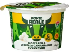 Ponte Reale Büffelmozzarella Campana DOP