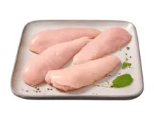 Poulet Minifilet Duopack