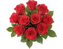 Premium-Rosen