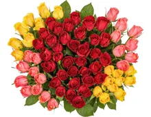 Premium-Rosen
