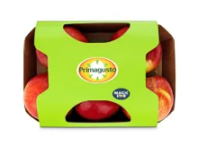 Primagusto Äpfel IP-Suisse