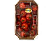 Primagusto Cherry-Rispentomaten