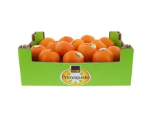Primagusto Clementinen