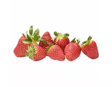 Primagusto Erdbeeren
