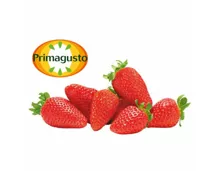 Primagusto Erdbeeren
