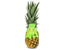 Primagusto Fairtrade Ananas 1 Stück